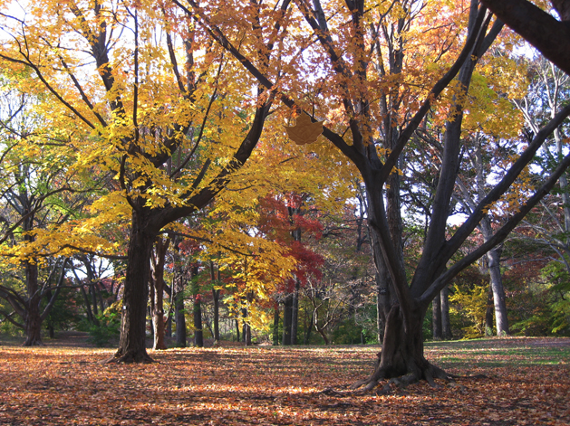 Please click in the image for the applet 